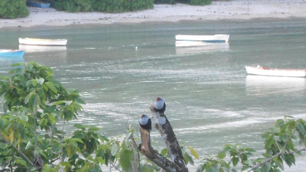 Seychelles Anse Boileau Exterior photo